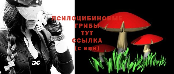 дурь Алексин