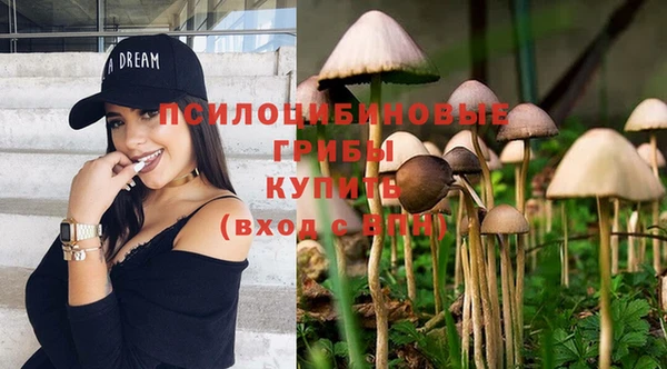 соль ск Алзамай