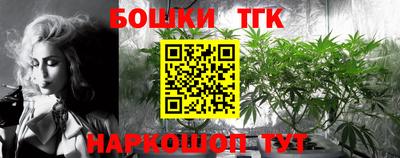2c-b Камышлов