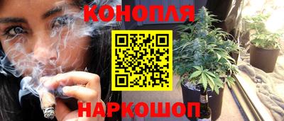 трава Кандалакша