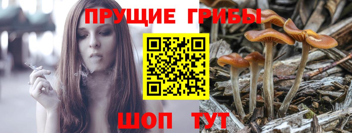 как найти закладки  Псилоцибиновые грибы Magic Shrooms  Вход с VPN  Кулебаки 